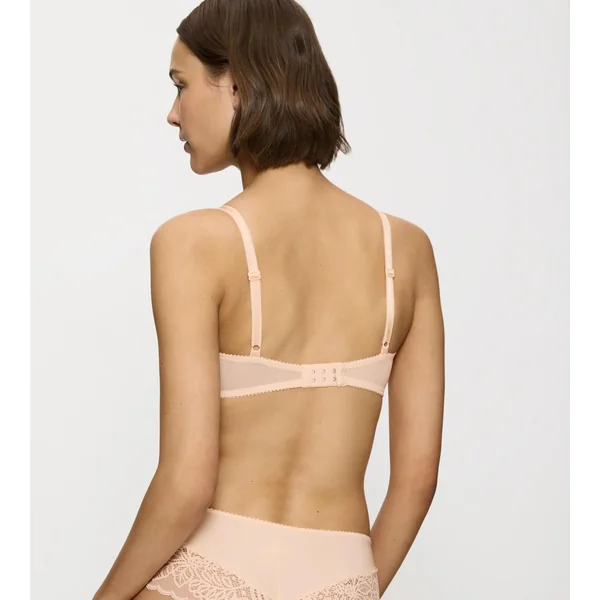AMOURETTE SPOTLIGHT Orange Highlight