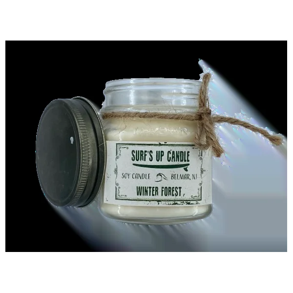 BOUGIE BIO SENTEUR FORET D’HIVER 225 GR