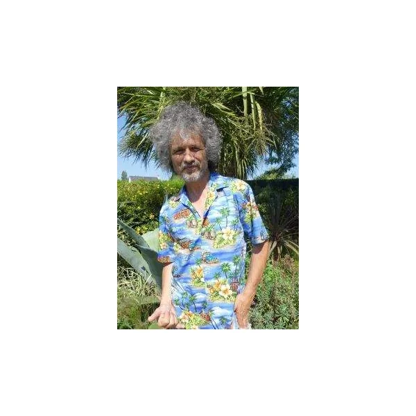CHEMISE HAWAIIENNE ALOHA REPUBLIC BEACH WOODIE BLUE