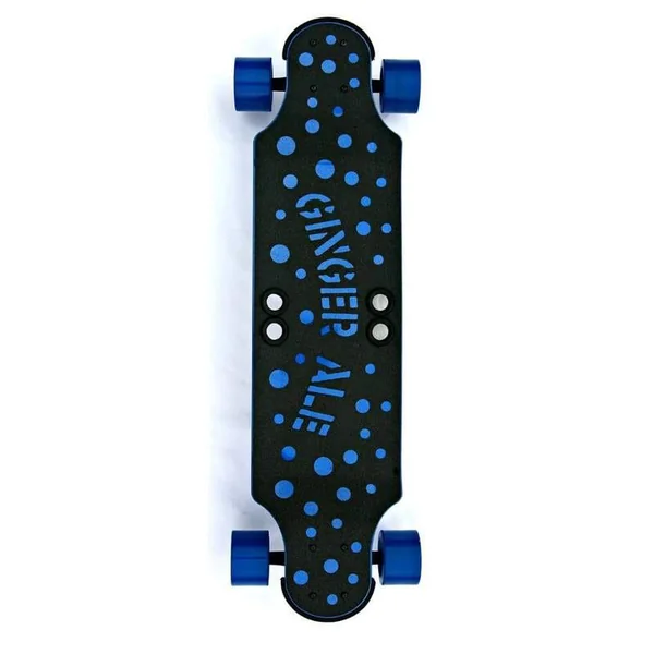 LONGBOARD SKATE GINGER 32 » BEERCAN