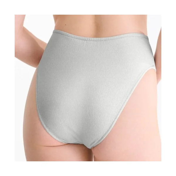 Maillots de bain Lisca Blue Lagoon argent slip de bikini