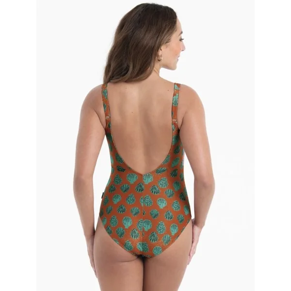 Maillots de bain Rosa Faia Elouise marron maillot de bain