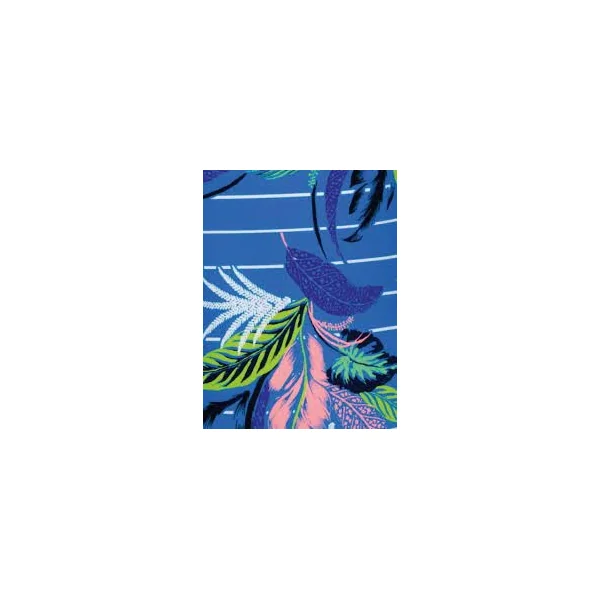 Maillots de bain Rosa Faia Noemi bleu/print tankini top