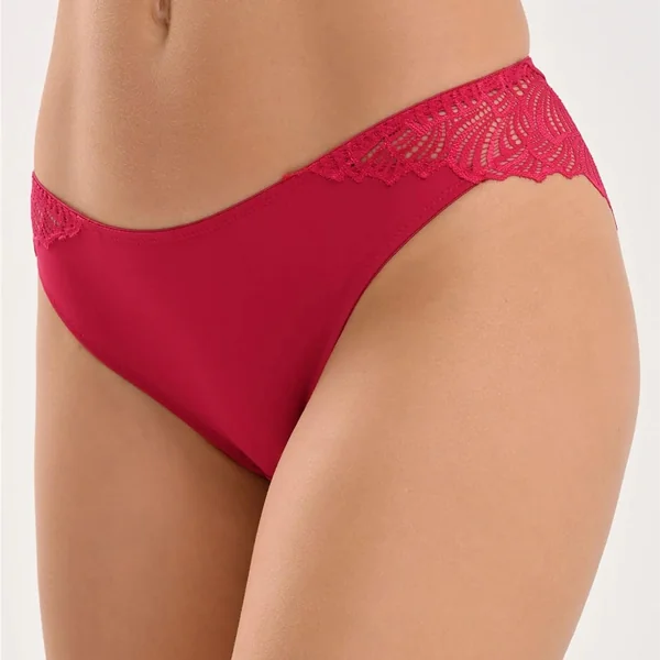 Naturana - Culotte bikini avec dentelle Cassis Small The Friday