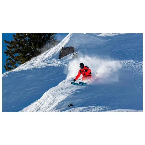 Pack Ski Alpin Atris Birdie + Fix