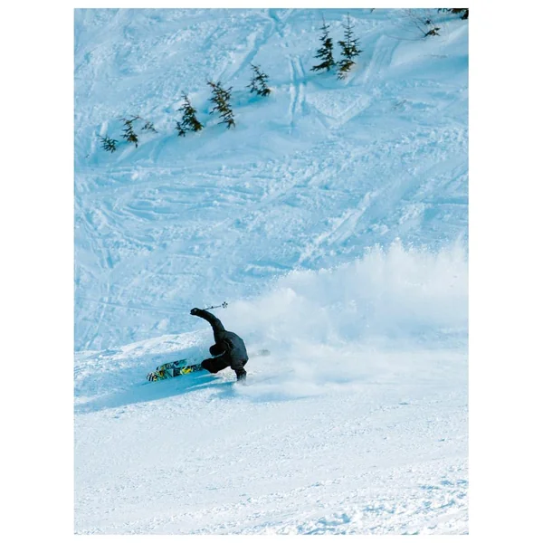 Pack Ski Alpin Bacon 108 + Fix