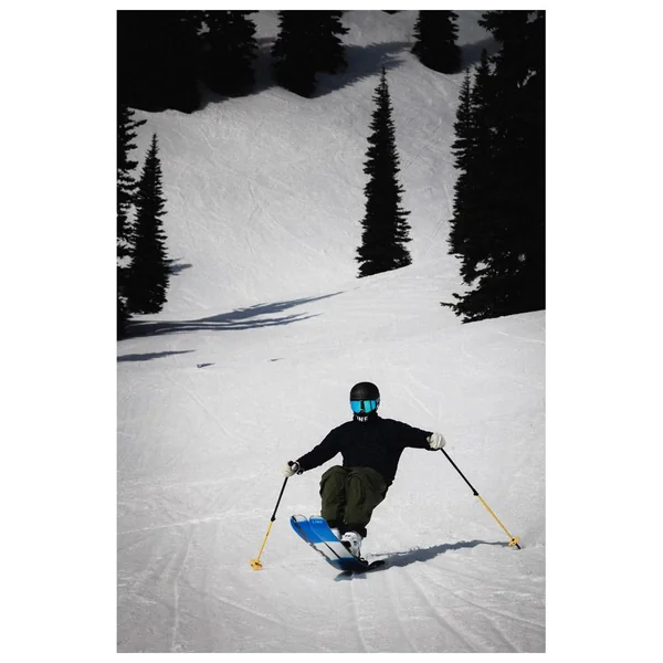 Pack Ski Alpin Pandora 99 + Fix