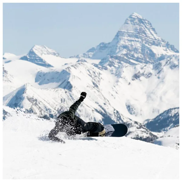 Pack Snowboard Cold Brew + Fix