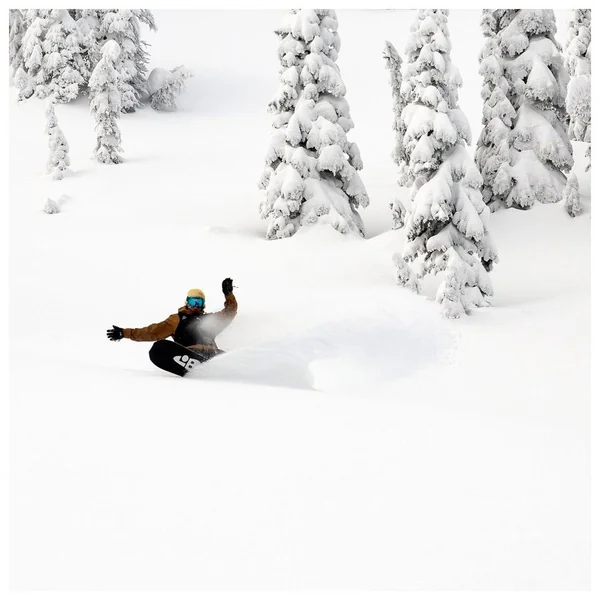 Pack Snowboard Orca + Fix