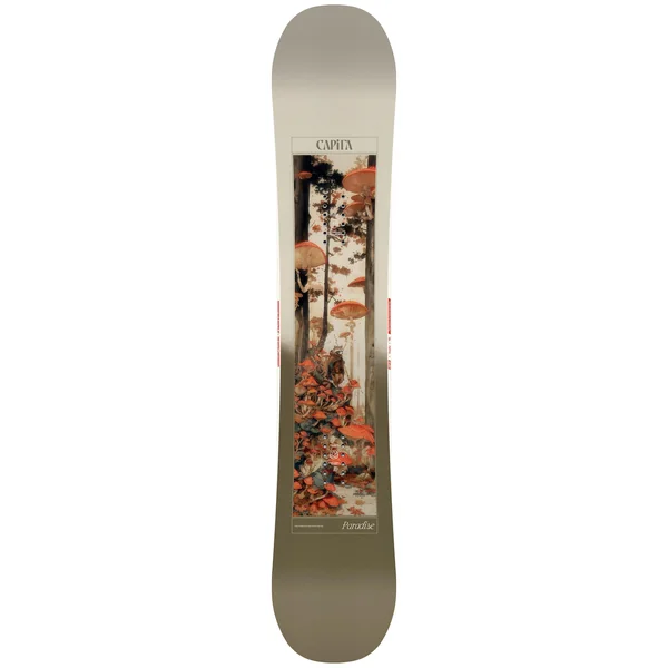 Pack Snowboard Paradise + Fix