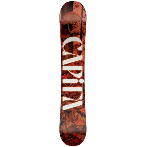 Pack Snowboard Paradise + Fix