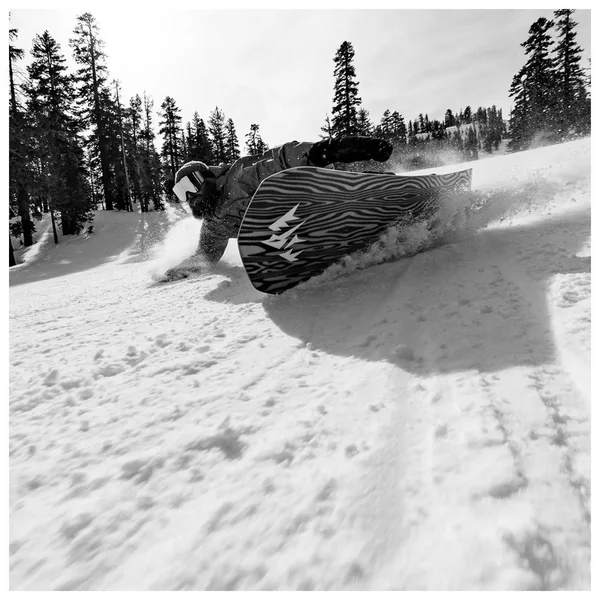 Planche Snowboard Jones Freecarver 6000s