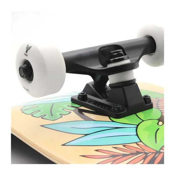 Skate TRIGGER Eden 8.25