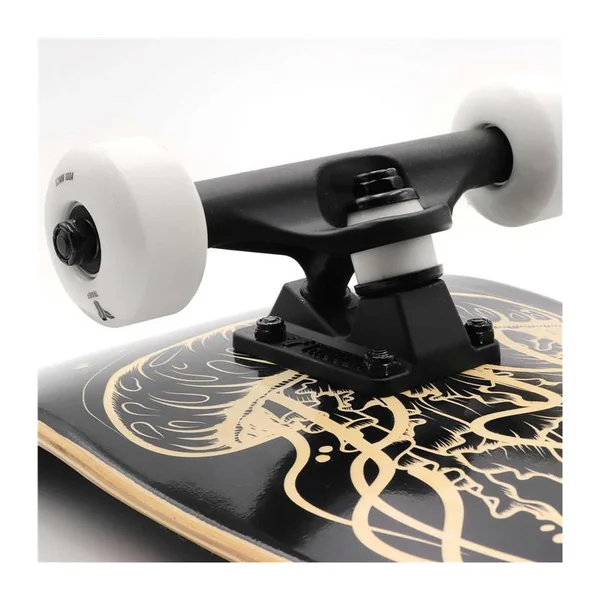 Skate TRIGGER Medusa 8.0