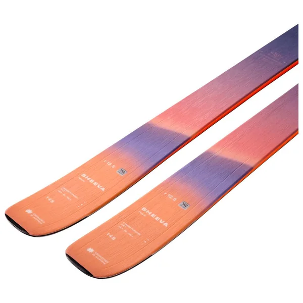 Ski Alpin Blizzard Sheeva Team