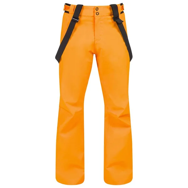 Ski