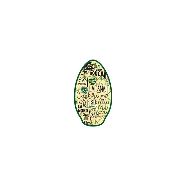 Skimboard ONE Wood Landes 41 Teal/Green