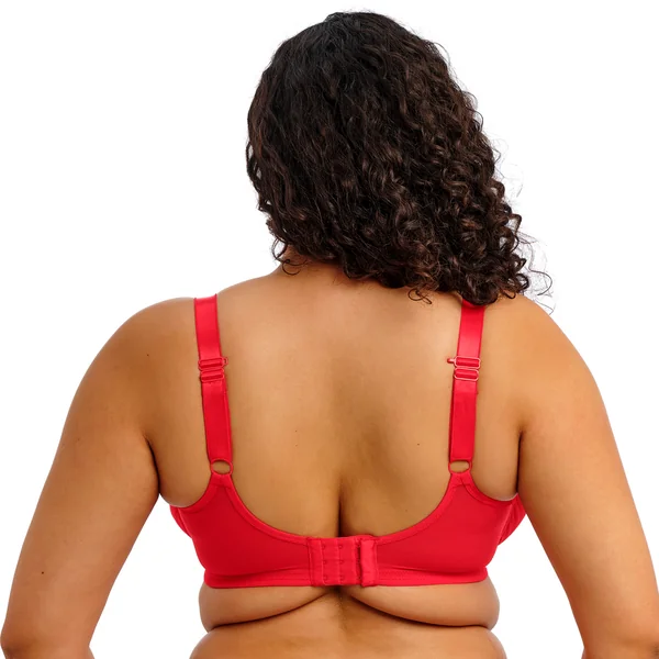 Soutien-Gorge Plongeant
