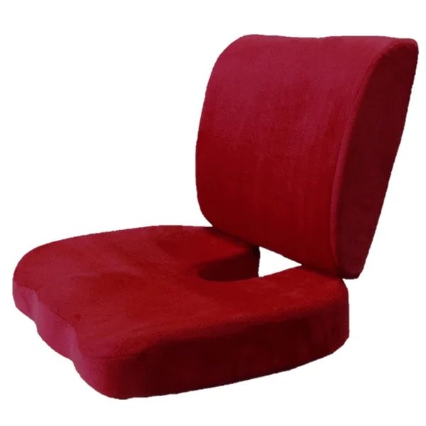 support dorsal en mousse