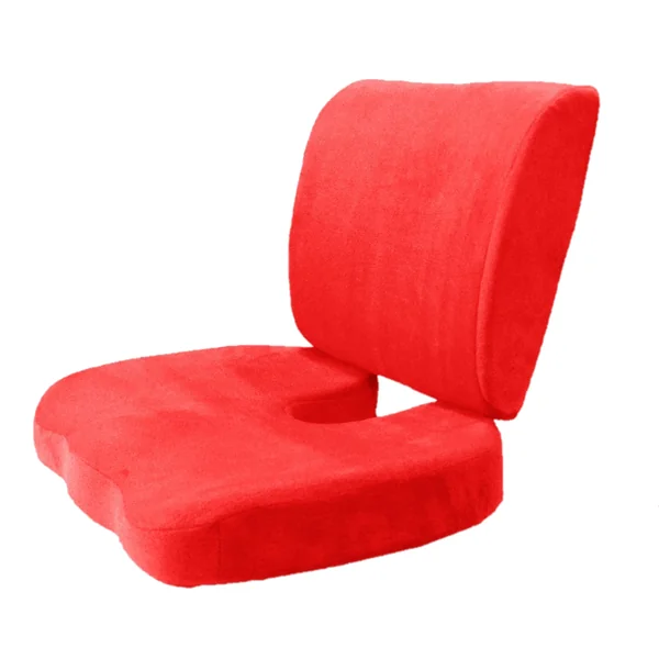 support dorsal en mousse