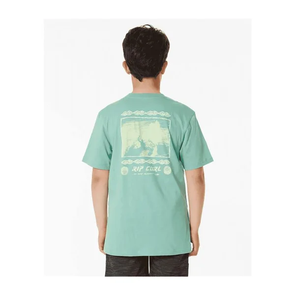 Teeshirt junior RIPCURL Pure Surf Art Tee -Boy Dusty Green 14