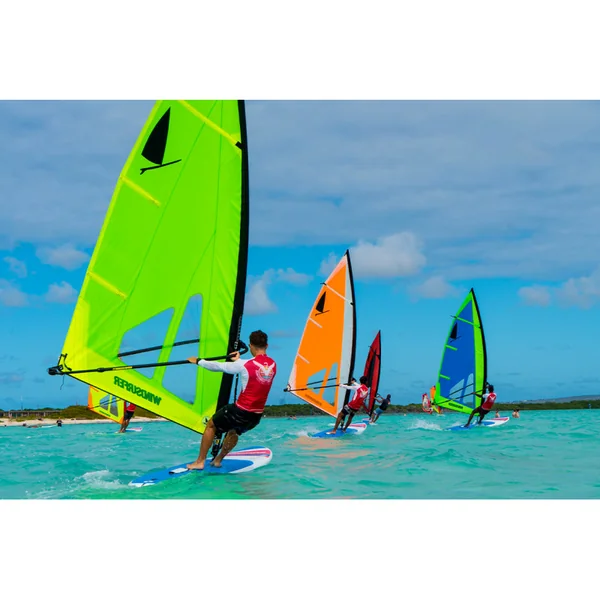 Voile windsurf WINDSURFER Windsurfer Sail 4.5